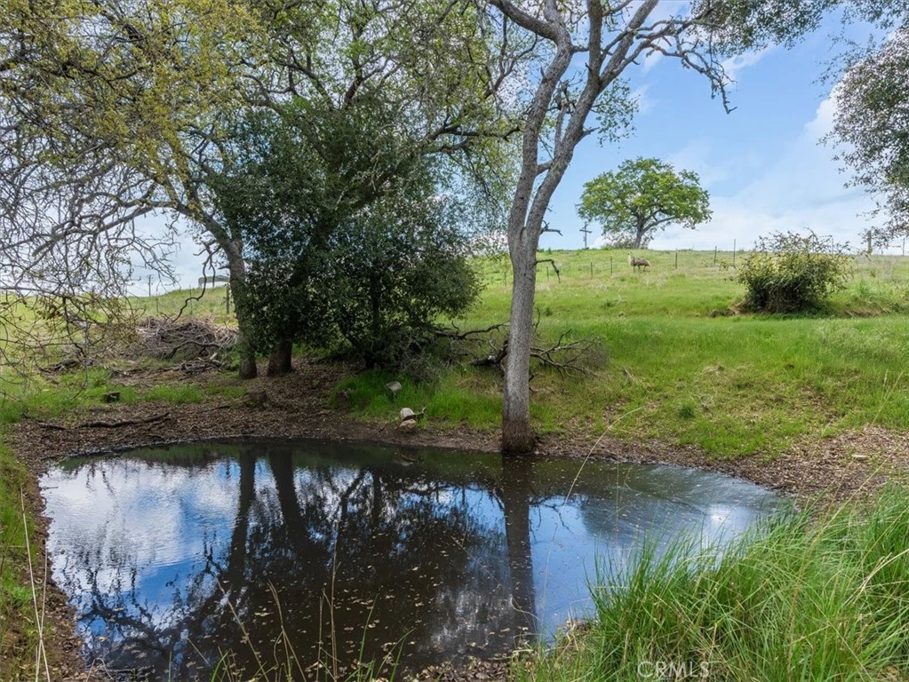 76284 Bryson Hesperia Road