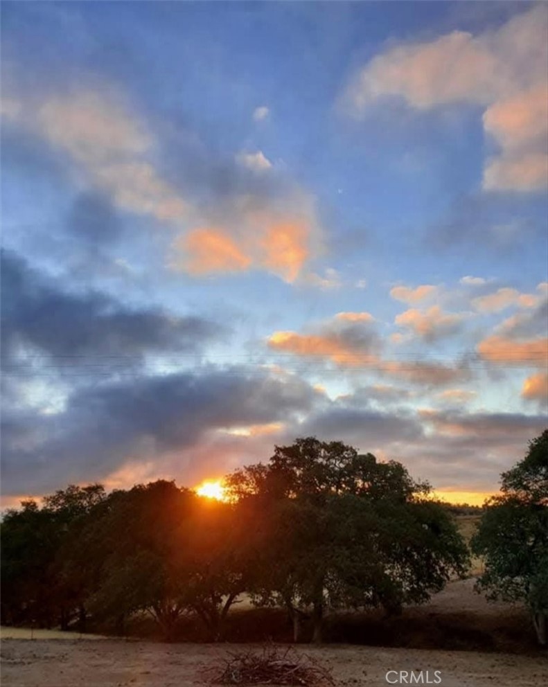 76284 Bryson Hesperia Road