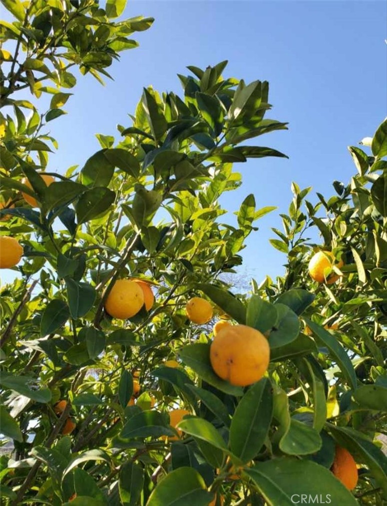 76284 Bryson Hesperia Road