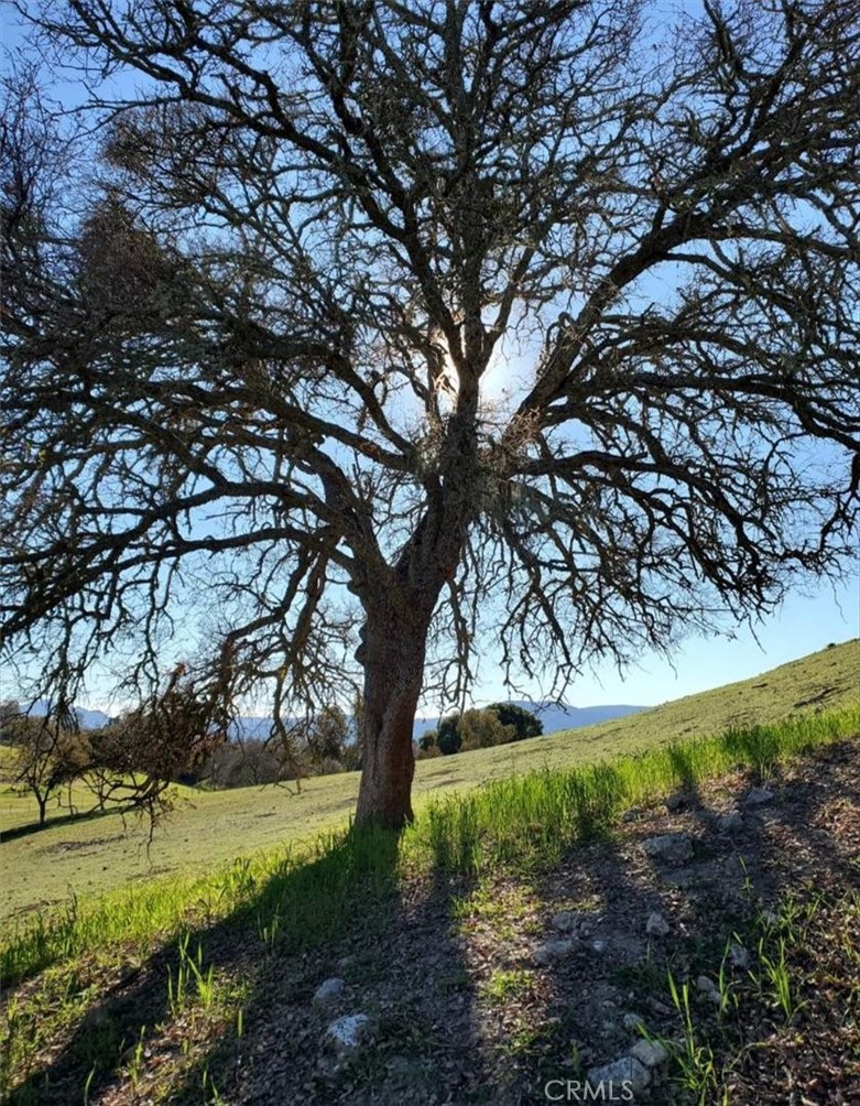 76284 Bryson Hesperia Road