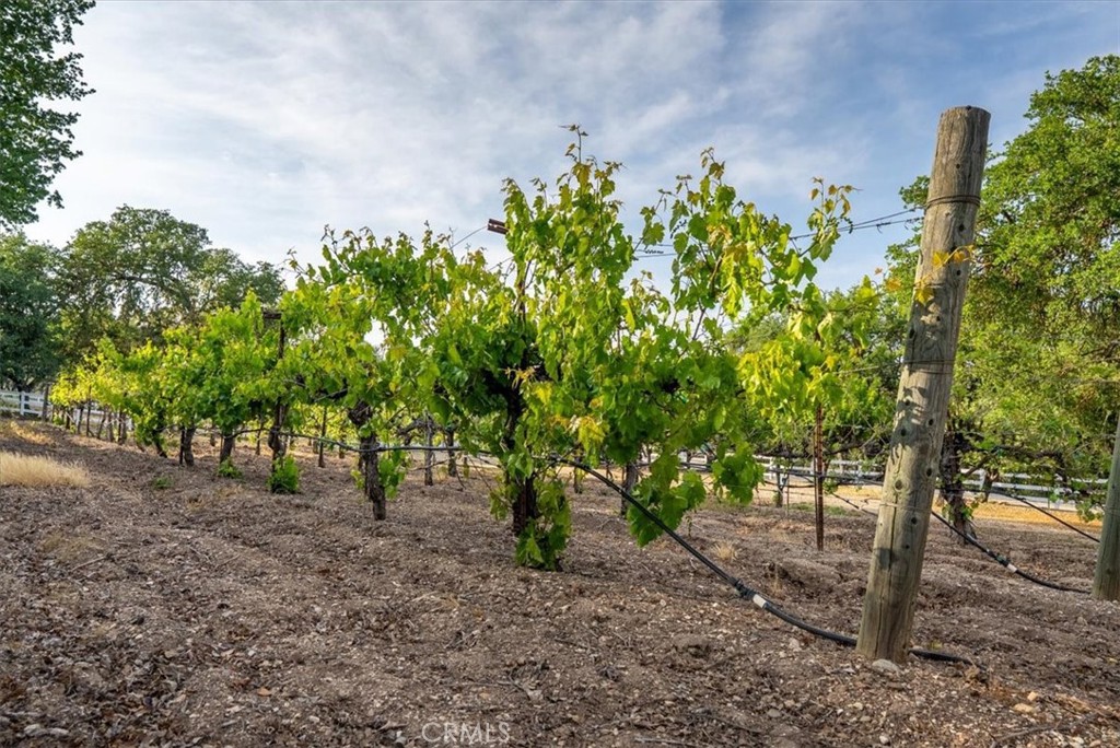 851 Spring Creek Way