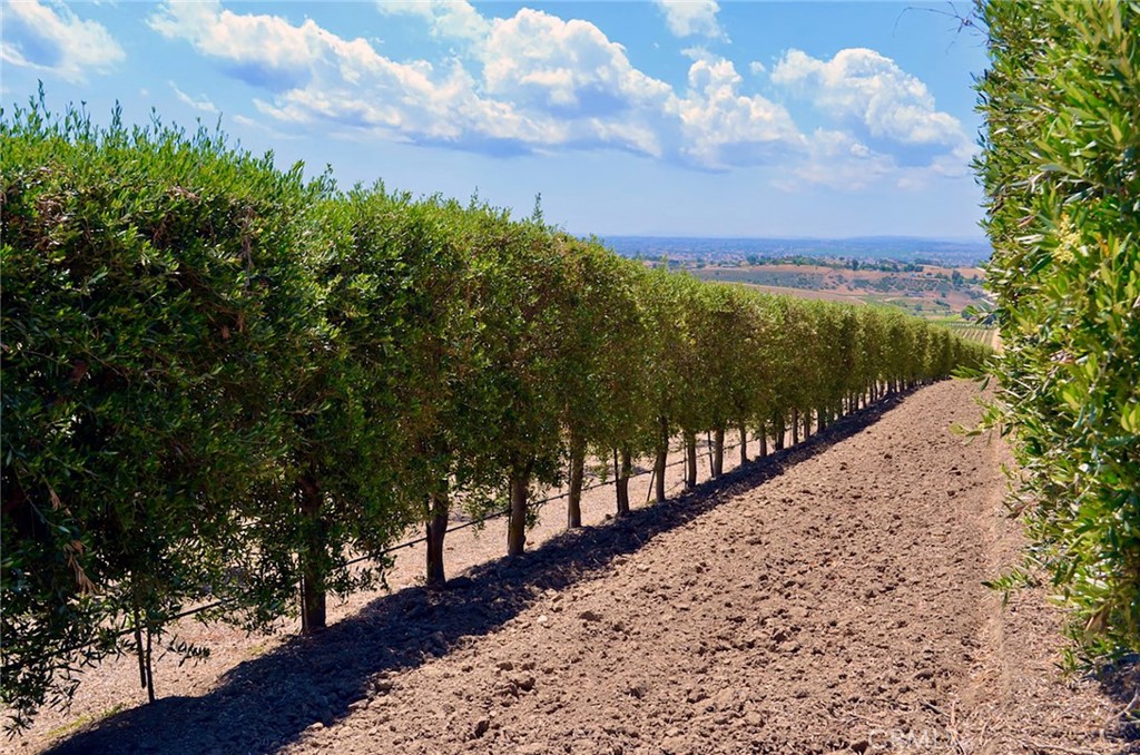 6320 Von Dollen Road