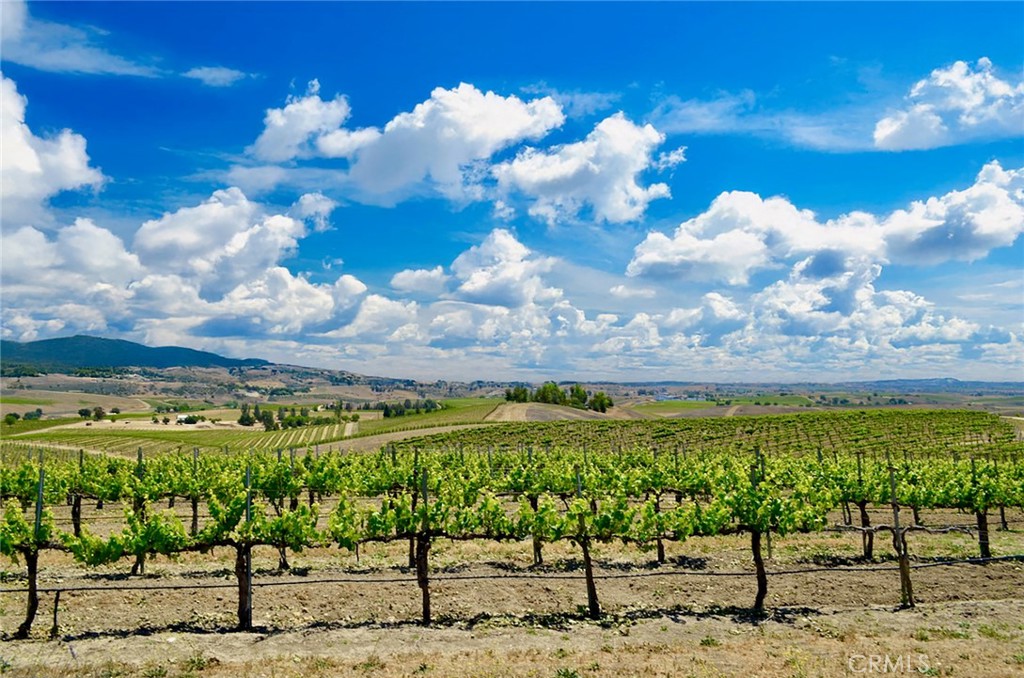 6320 Von Dollen Road