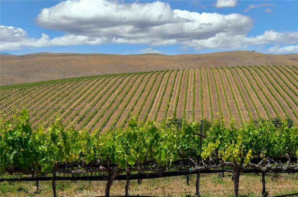 6320 Von Dollen Road