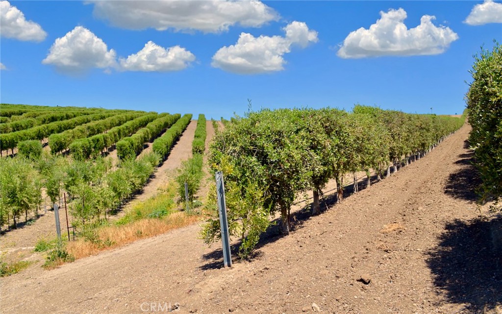 6320 Von Dollen Road