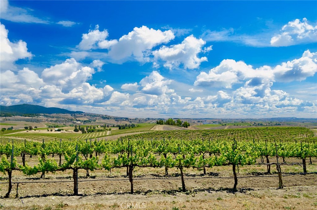 6320 Von Dollen Road