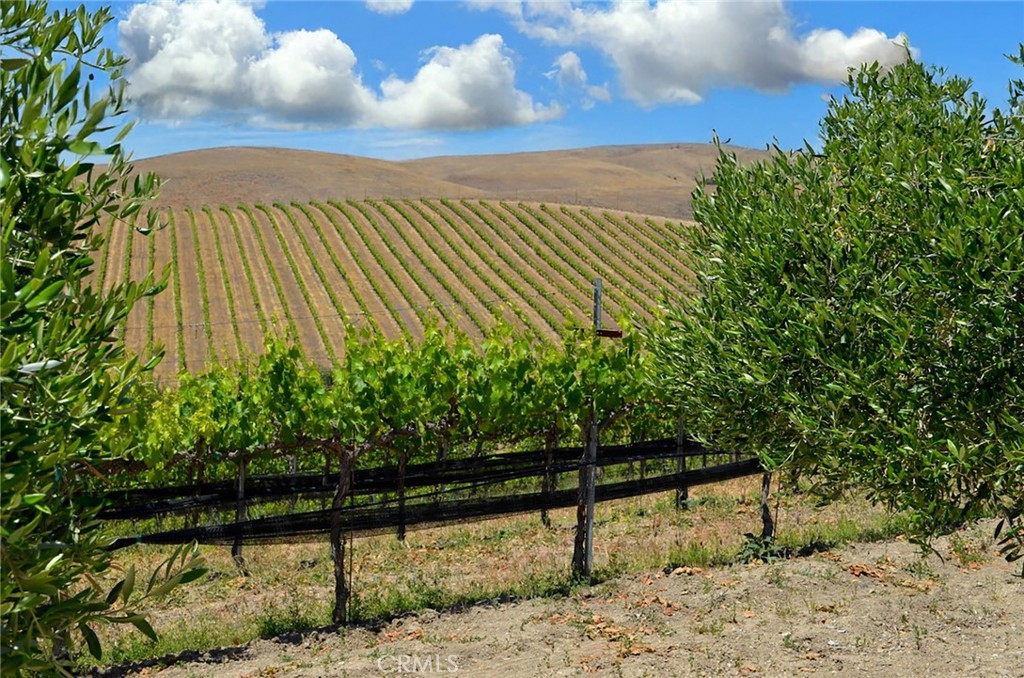 6320 Von Dollen Road