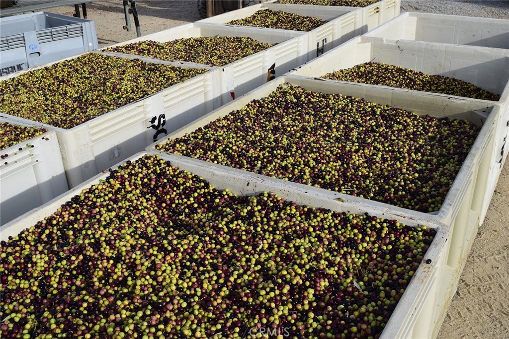 6320 Von Dollen Road