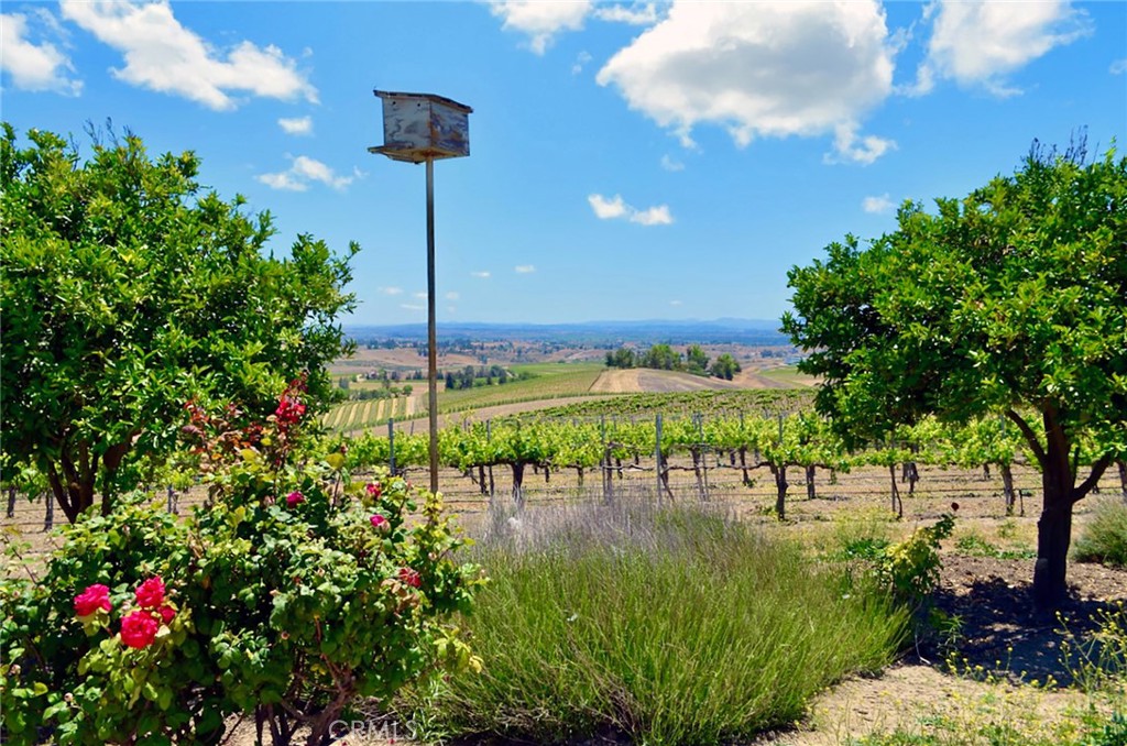 6320 Von Dollen Road