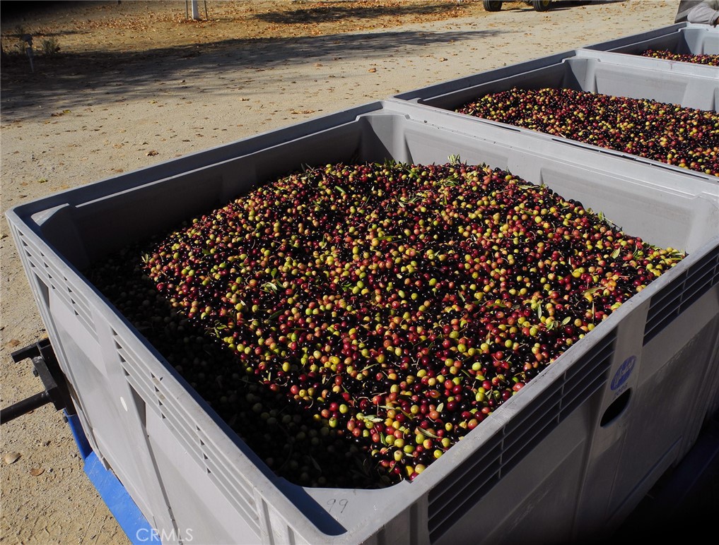 6320 Von Dollen Road