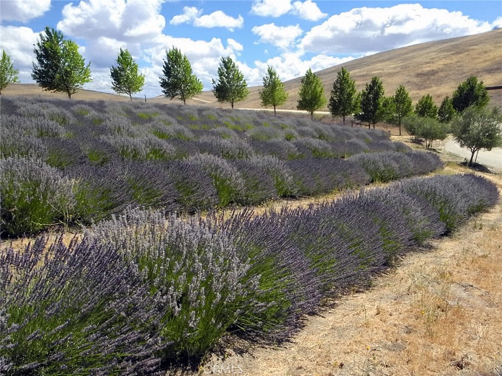 6320 Von Dollen Road