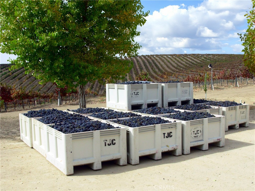 6320 Von Dollen Road