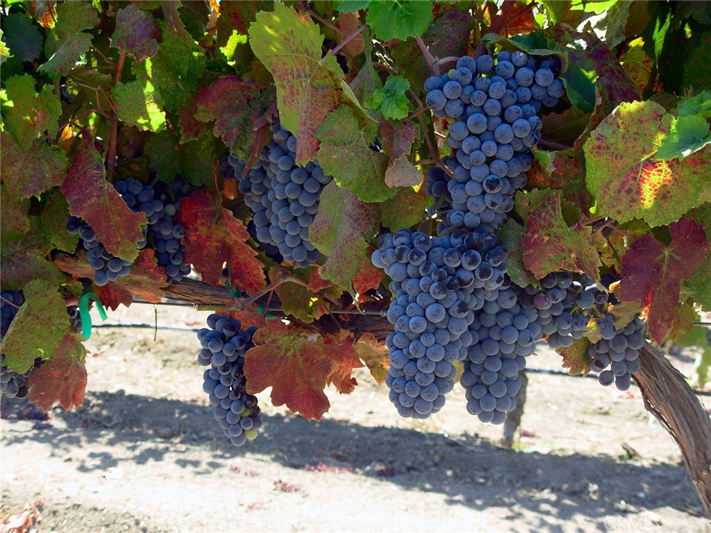 6320 Von Dollen Road