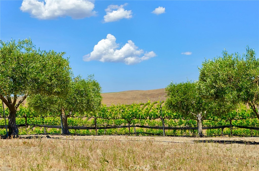 6320 Von Dollen Road