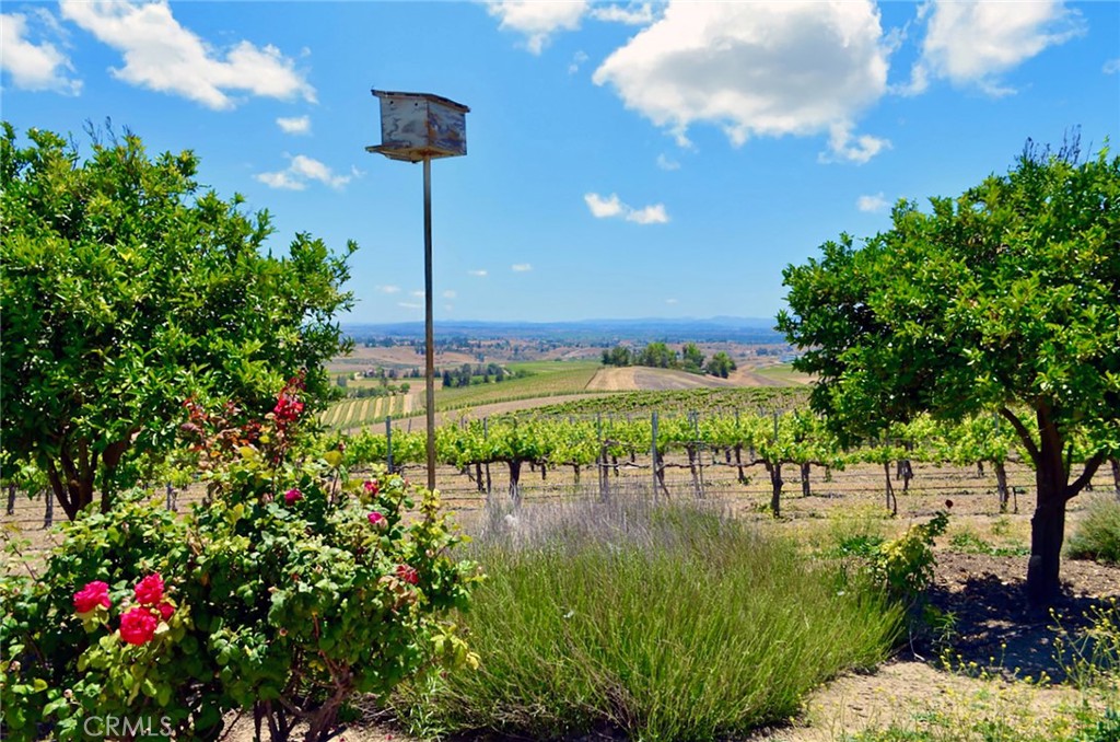 6320 Von Dollen Road