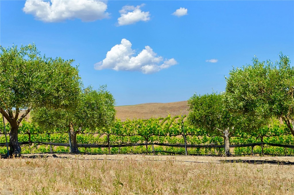 6320 Von Dollen Road