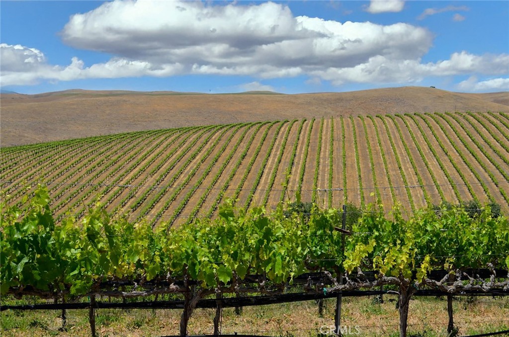 6320 Von Dollen Road