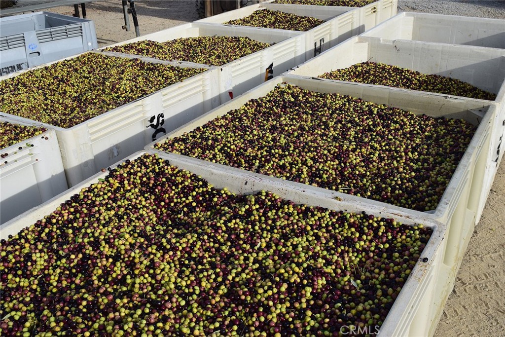 6320 Von Dollen Road