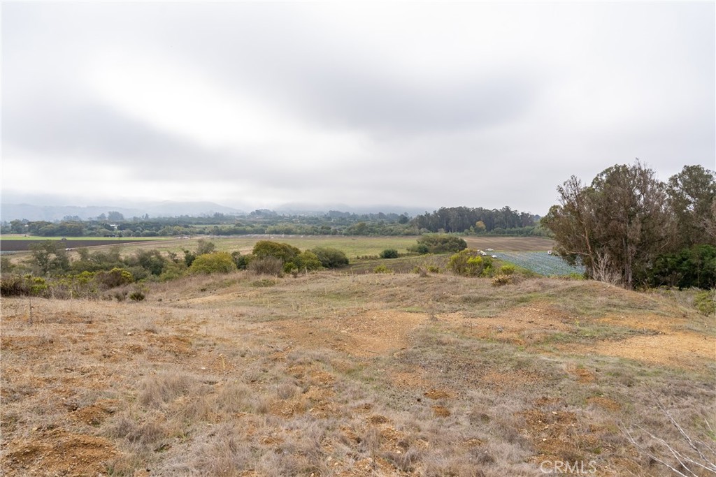1987 Turri Road