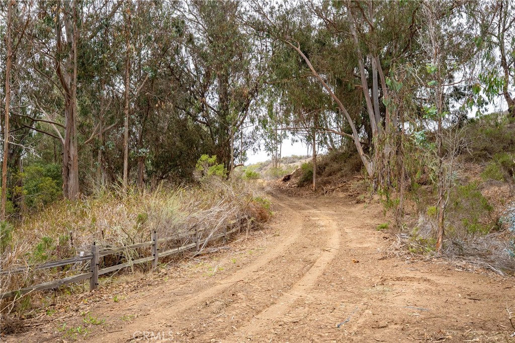 1987 Turri Road