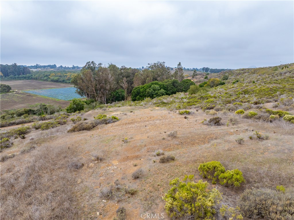 1987 Turri Road