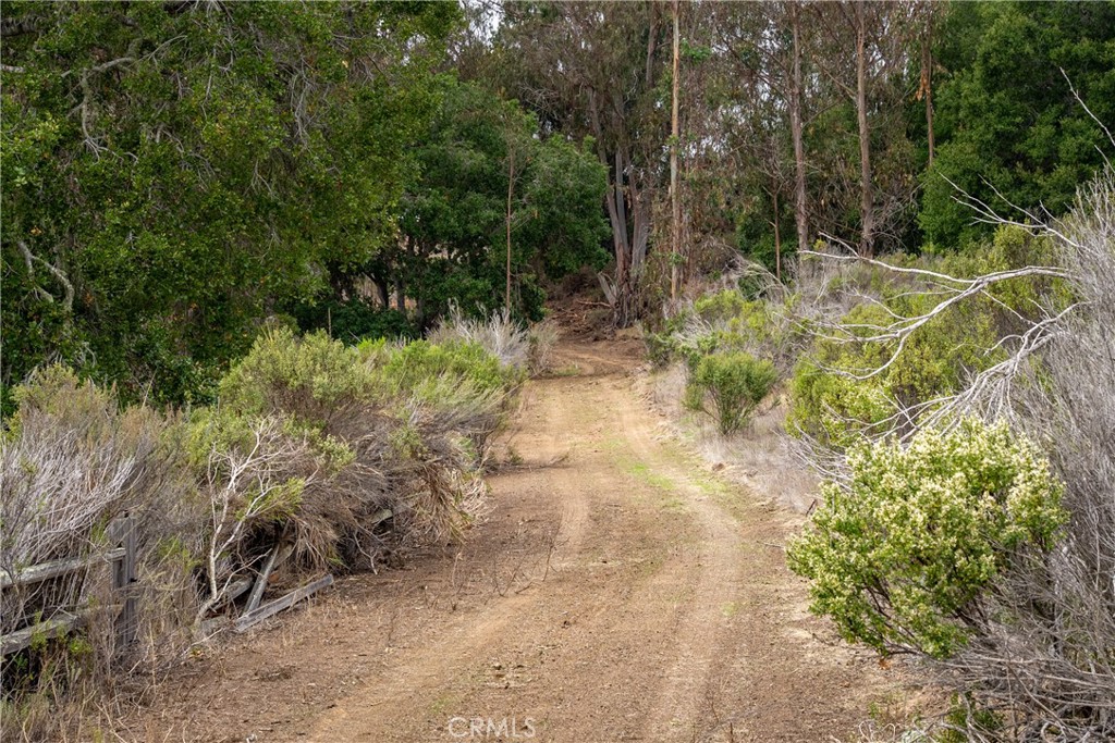 1987 Turri Road
