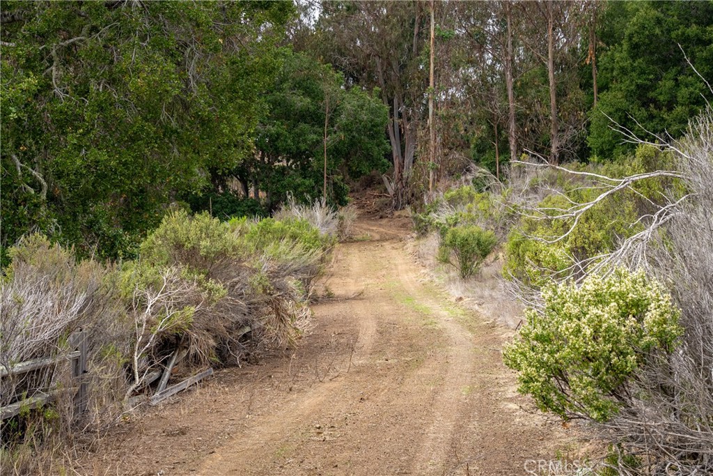 1987 Turri Road
