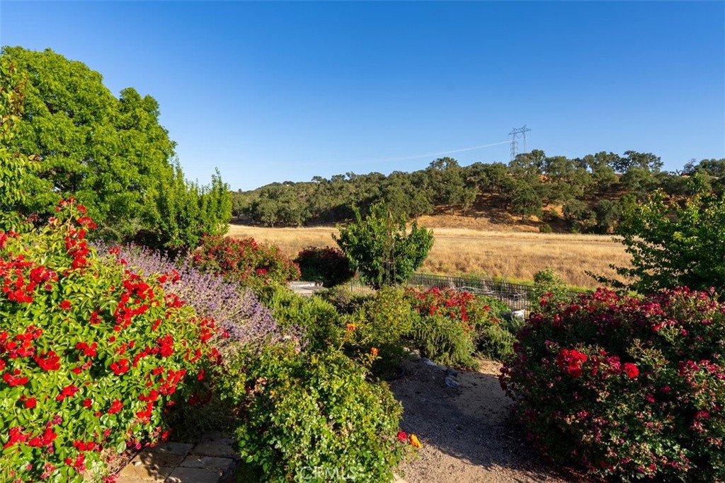 2035 Calle Pattito