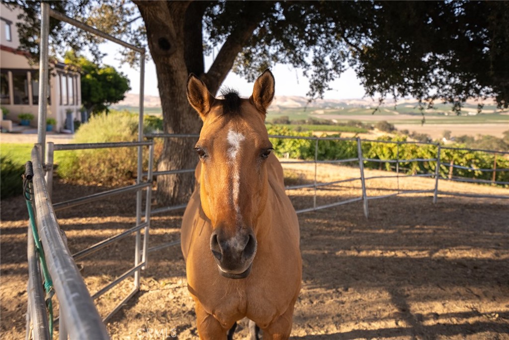 7010 Wilderness Lane