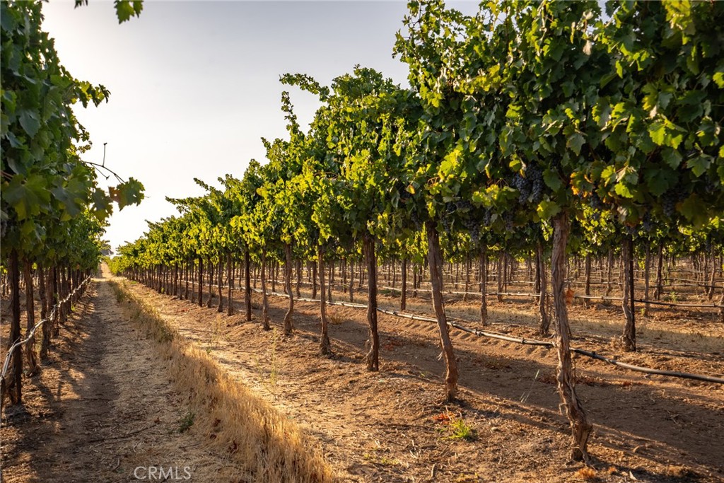 7010 Wilderness Lane