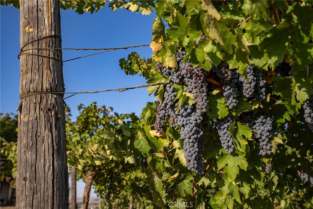 7010 Wilderness Lane