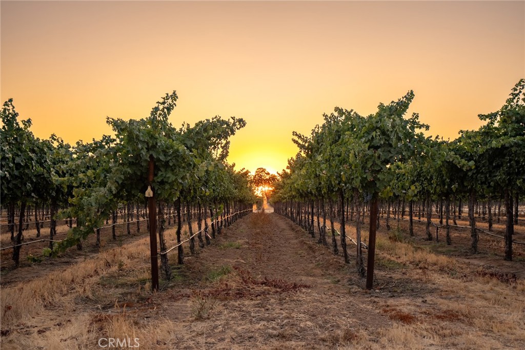 7010 Wilderness Lane