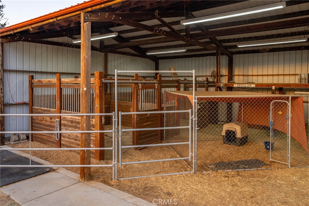 7010 Wilderness Lane