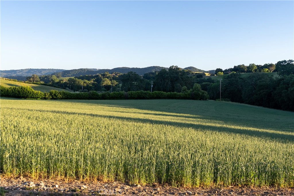5250 , 5260 Vineyard