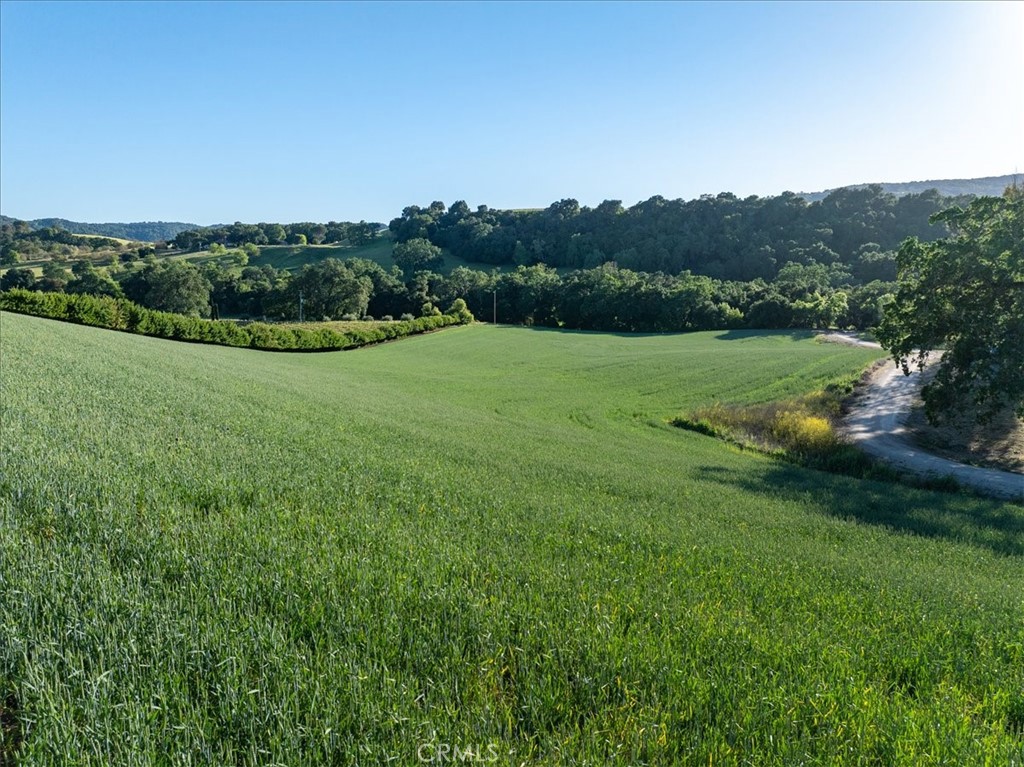 5250 , 5260 Vineyard