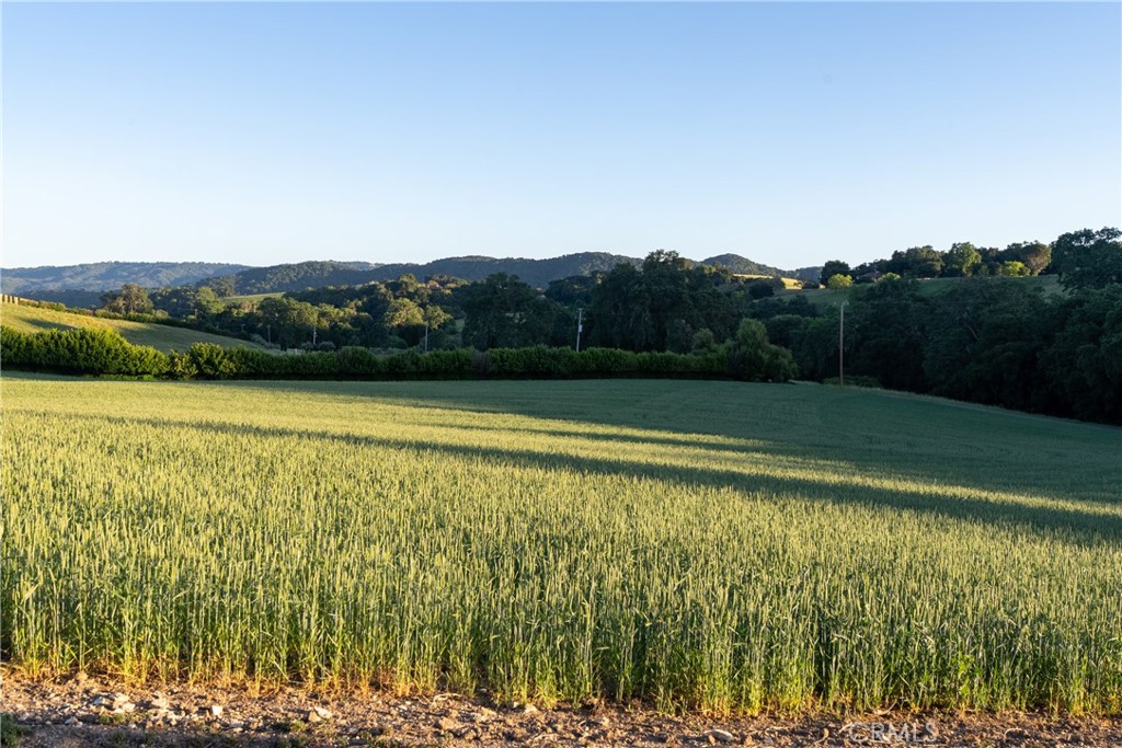 5250 , 5260 Vineyard