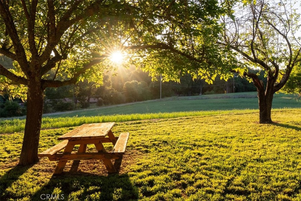 5250 , 5260 Vineyard