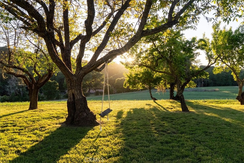 5250 , 5260 Vineyard