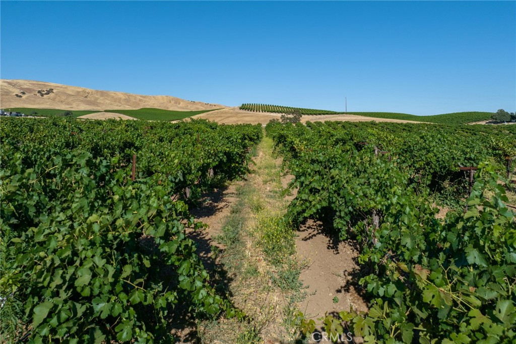 8585 Cross Canyons