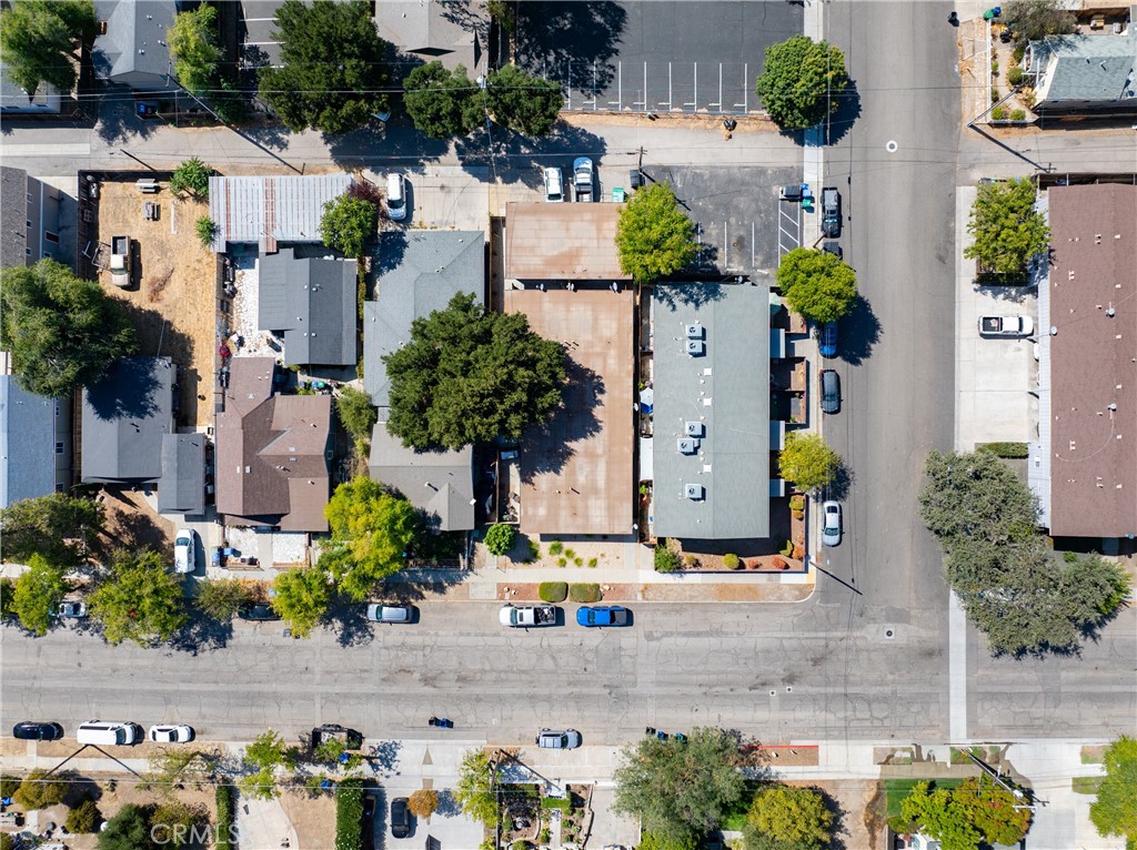 1635 Pine