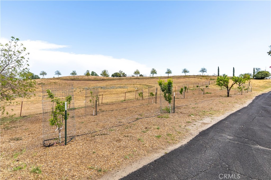 3150 Bluegrass Place