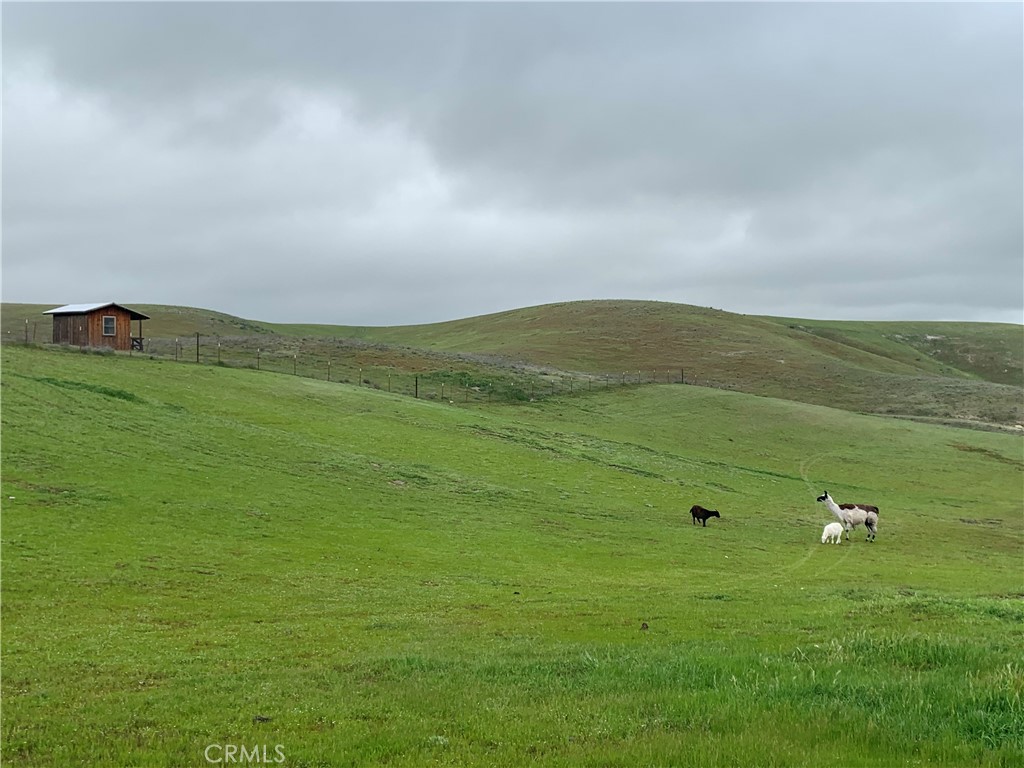 3150 Bluegrass Place