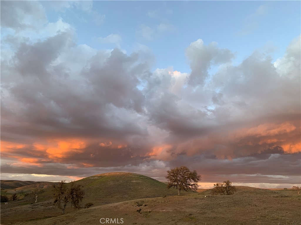 3150 Bluegrass Place