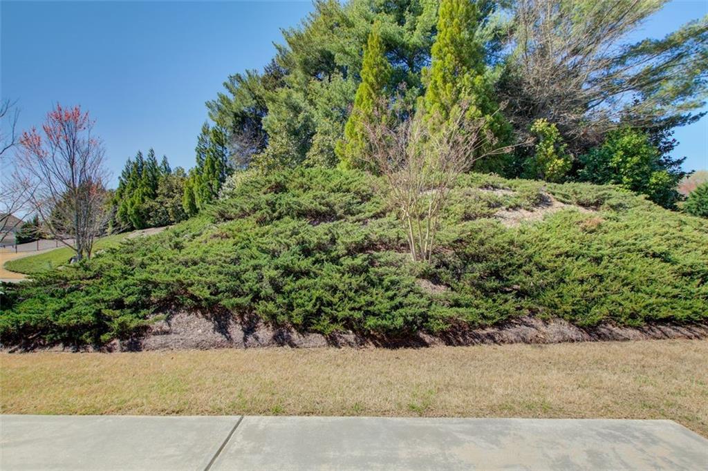 1040 PEYTON VIEW Court