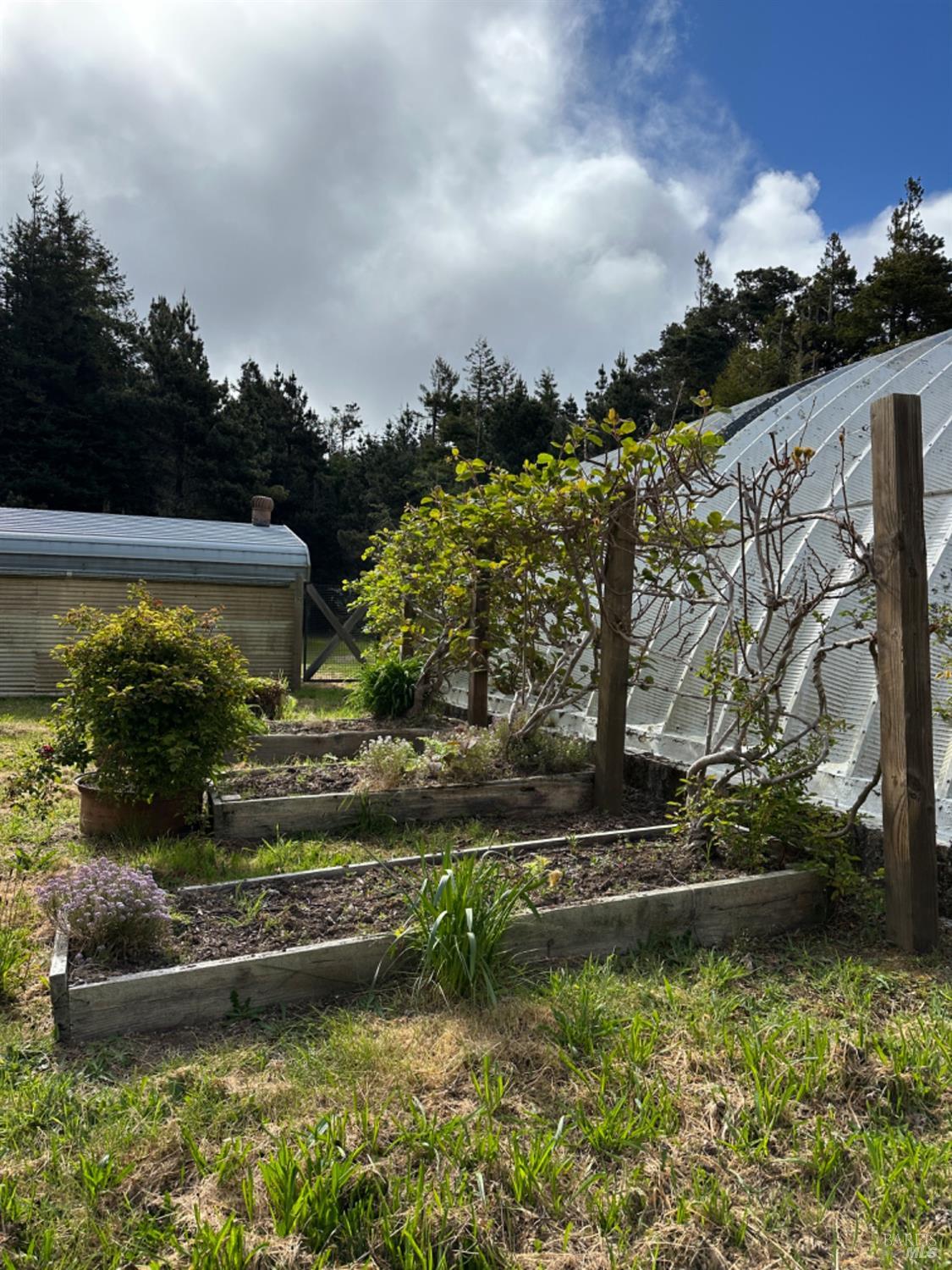 41700 Harris Ranch Road