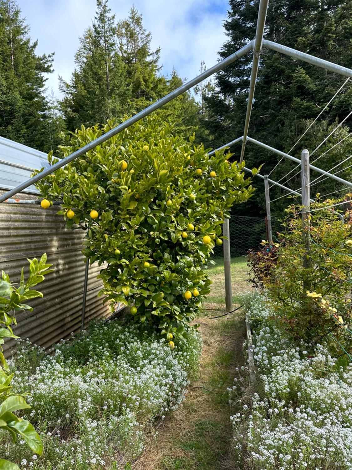 41700 Harris Ranch Road