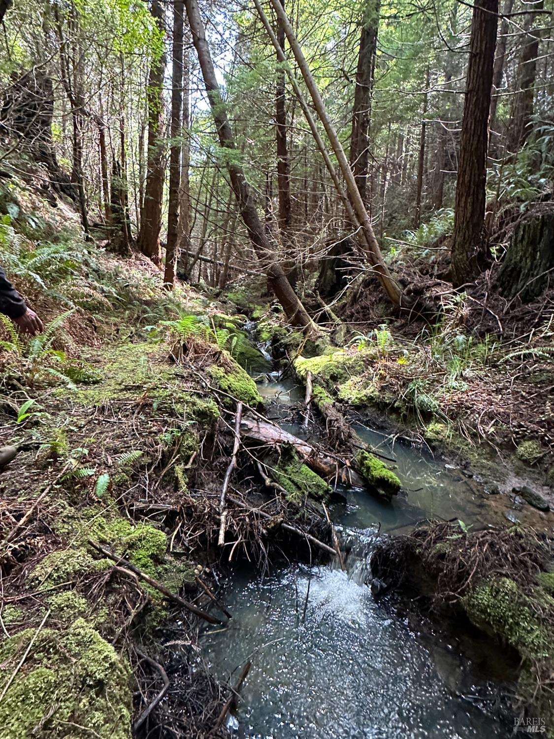 41700 Harris Ranch Road