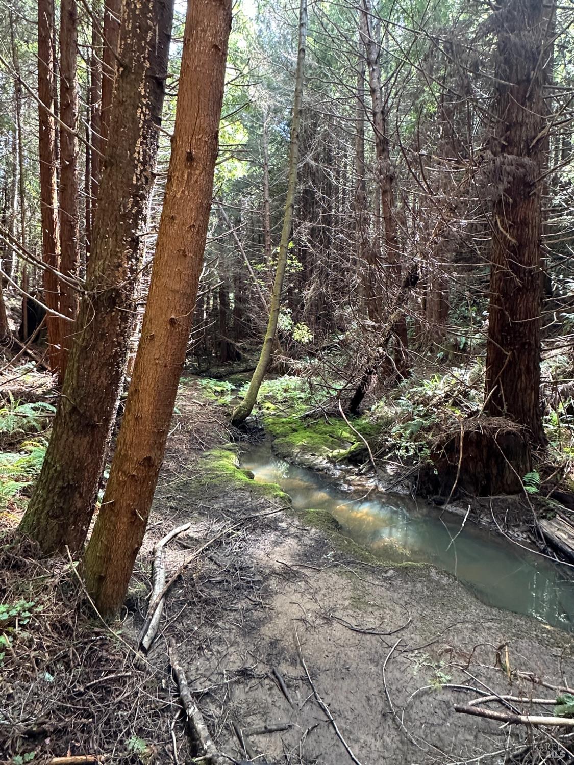 41700 Harris Ranch Road