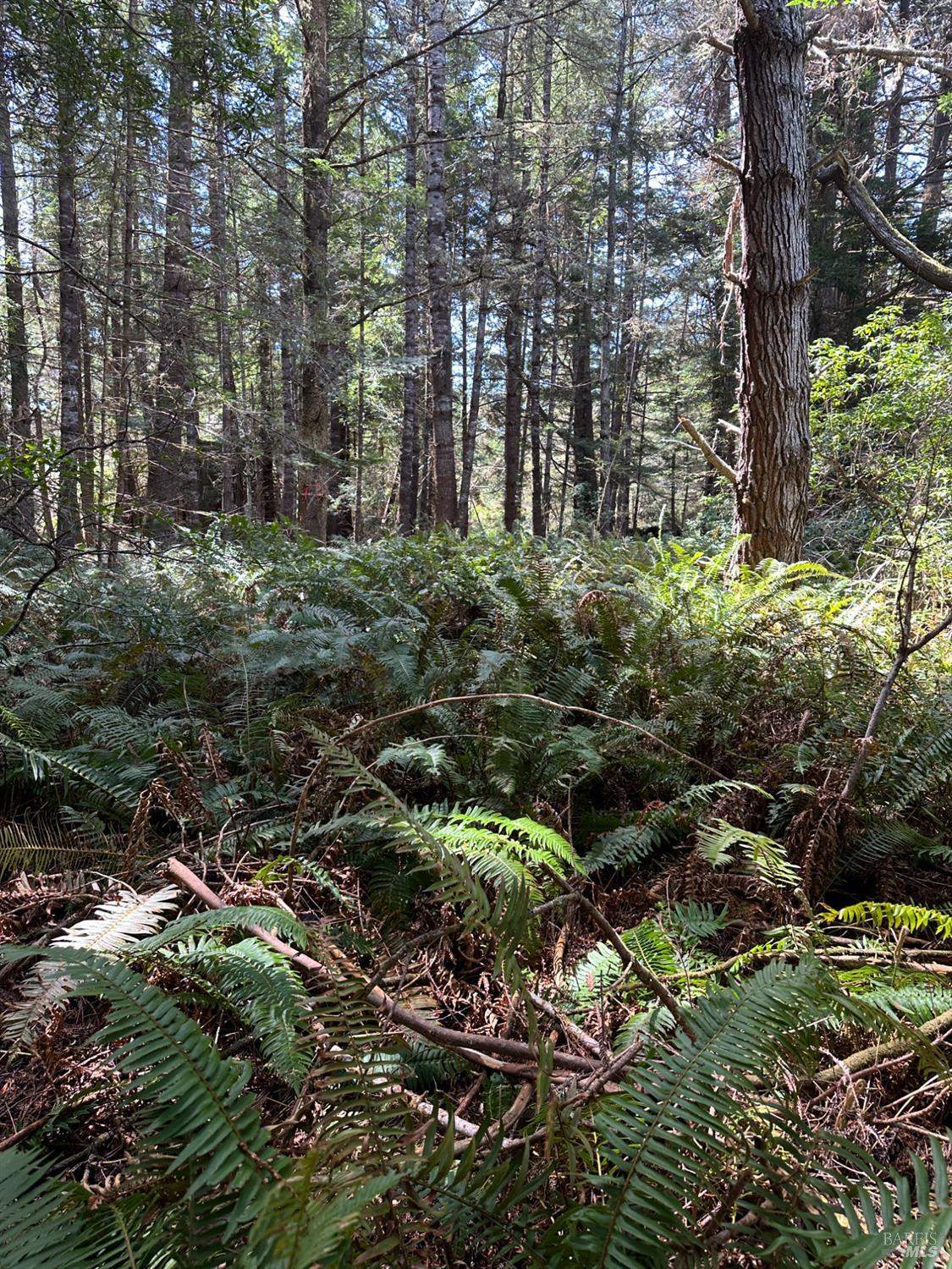 41700 Harris Ranch Road