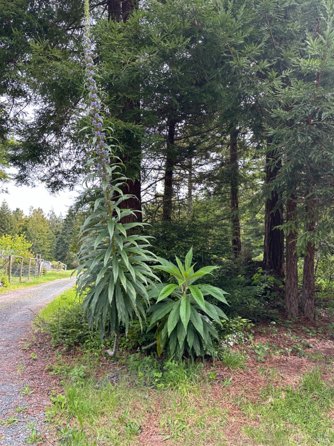 41700 Harris Ranch Road